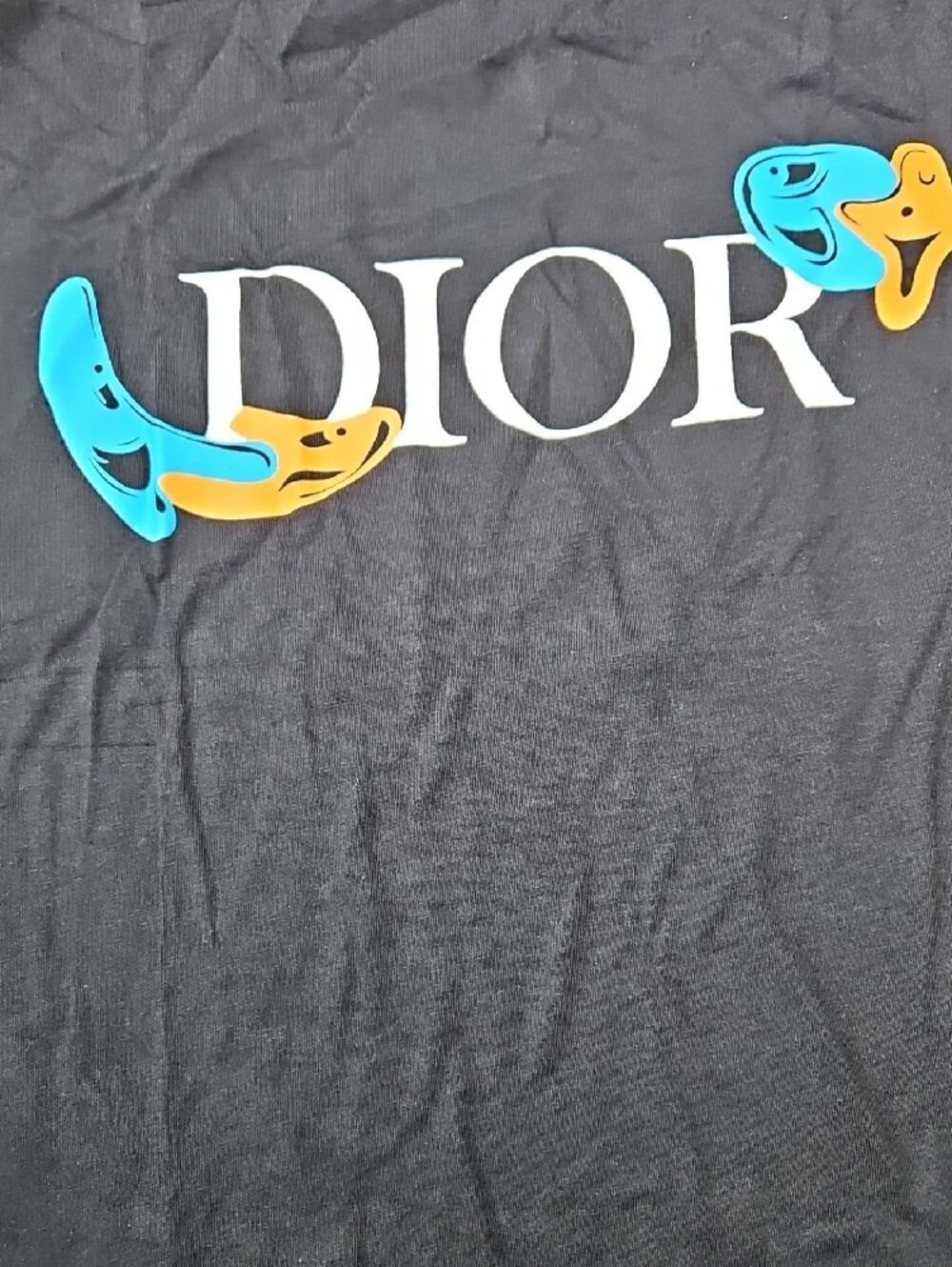 Dior Black Logo T‑Shirt with Blue and Yellow Accents - Picture 2 of 8